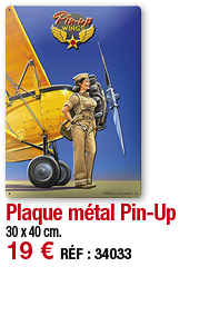 Plaque métal Pin-Up   30 x 40 cm  19   RÉF : 34033