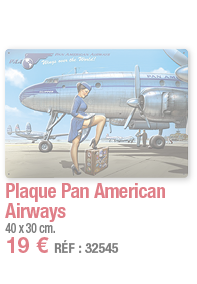 Plaque Pan American Airways   40 x 30 cm  19   RÉF : 32545