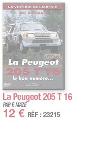 La Peugeot 205 T 16   PAR F  MAZE   12   RÉF : 23215