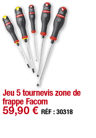 Jeu 5 tournevis zone de frappe Facom   59,90   RÉF : 30318