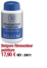 Belgom Rénovateur peinture 17,90   RÉF : 26011