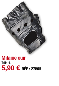 Mitaine cuir   Taille : L  5,90   RÉF : 27868