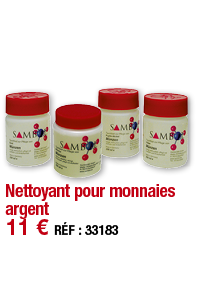 Nettoyant pour monnaies argent   11   RÉF : 33183