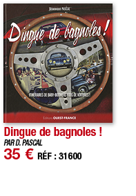 Dingue de bagnoles     PAR D  PASCAL 35   RÉF : 31600