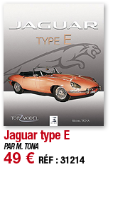 Jaguar type E   PAR M  TONA 49   RÉF : 31214