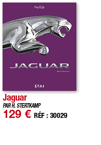 Jaguar   PAR H  STERTKAMP 129   RÉF : 30029