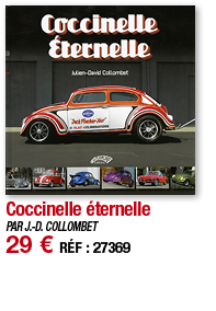 Coccinelle éternelle   PAR J -D  COLLOMBET 29   RÉF : 27369