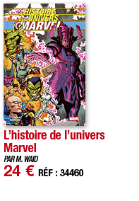 L histoire de l univers Marvel   PAR M  WAID 24   RÉF : 34460