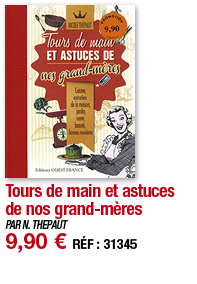 Tours de main et astuces de nos grand-mères   PAR N  THEPAUT 9,90   RÉF : 31345