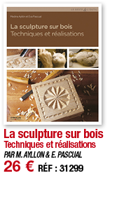 La sculpture sur bois Techniques et réalisations PAR M  AYLLON & E  PASCUAL 26   RÉF : 31299