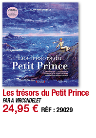 Les trésors du Petit Prince   PAR A  VIRCONDELET 24,95   RÉF : 29029