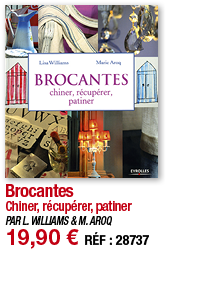 Brocantes Chiner, récupérer, patiner PAR L  WILLIAMS & M  AROQ 19,90   RÉF : 28737