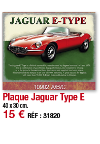 Plaque Jaguar Type E   40 x 30 cm  15   RÉF : 31820