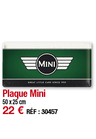 Plaque Mini   50 x 25 cm 22   RÉF : 30457