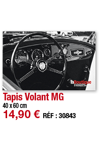 Tapis Volant MG   40 x 60 cm 14,90   RÉF : 30843