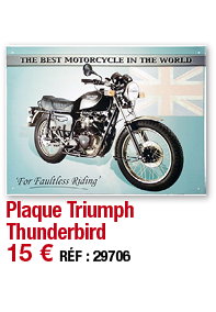 Plaque Triumph Thunderbird   15   RÉF : 29706